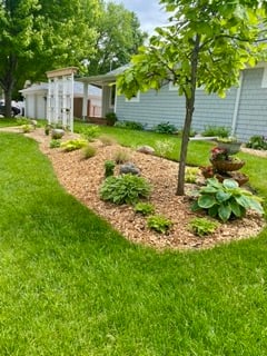 Curb appeal project