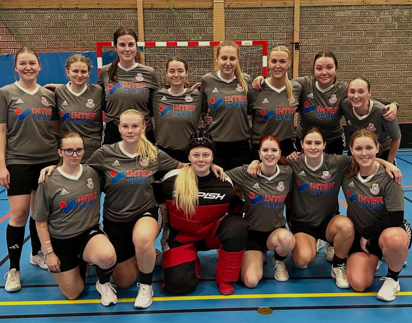 Innebandy Visby AIK Dam