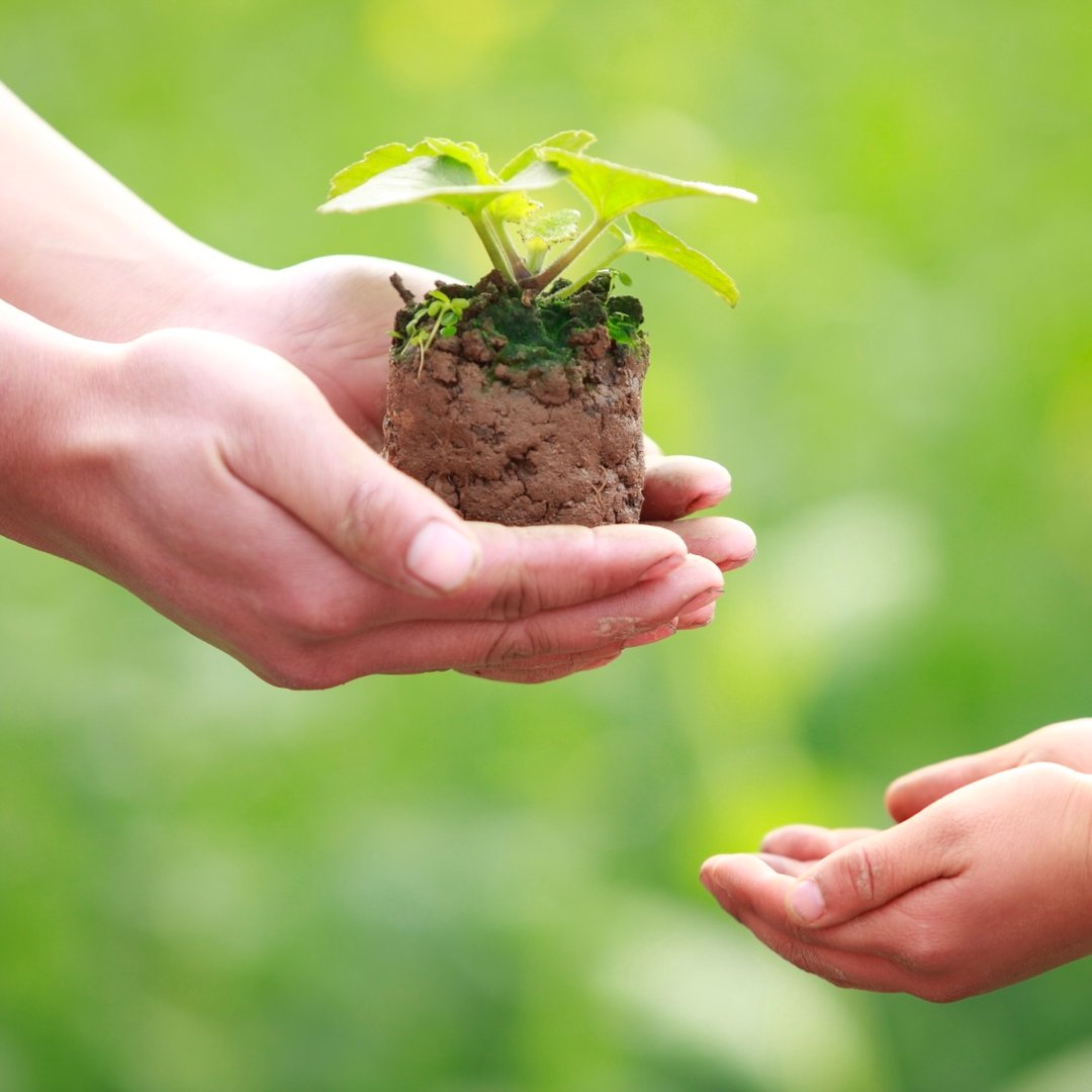 Emergency Room Consultation Image