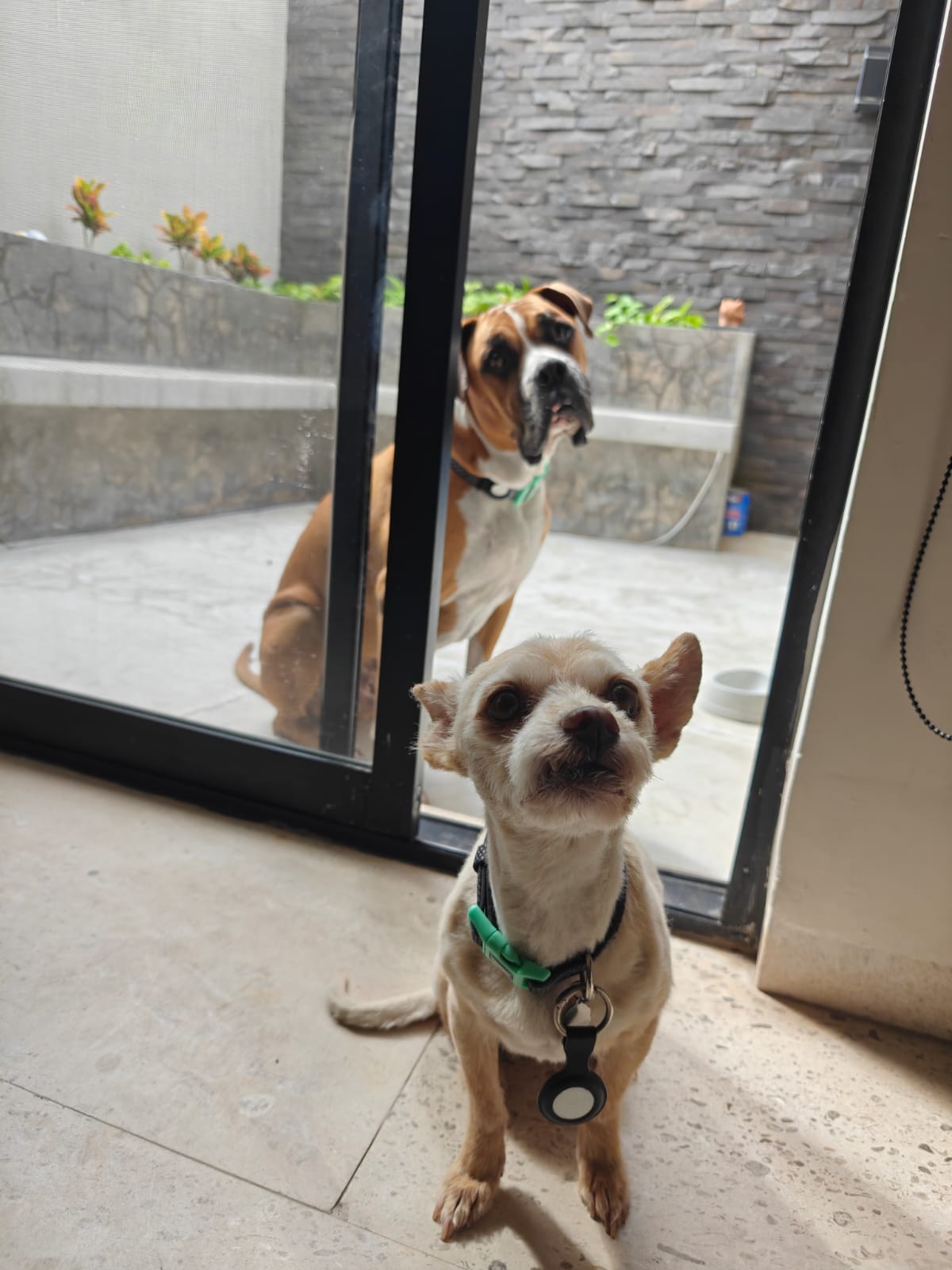 Original photo of Hudson Ron