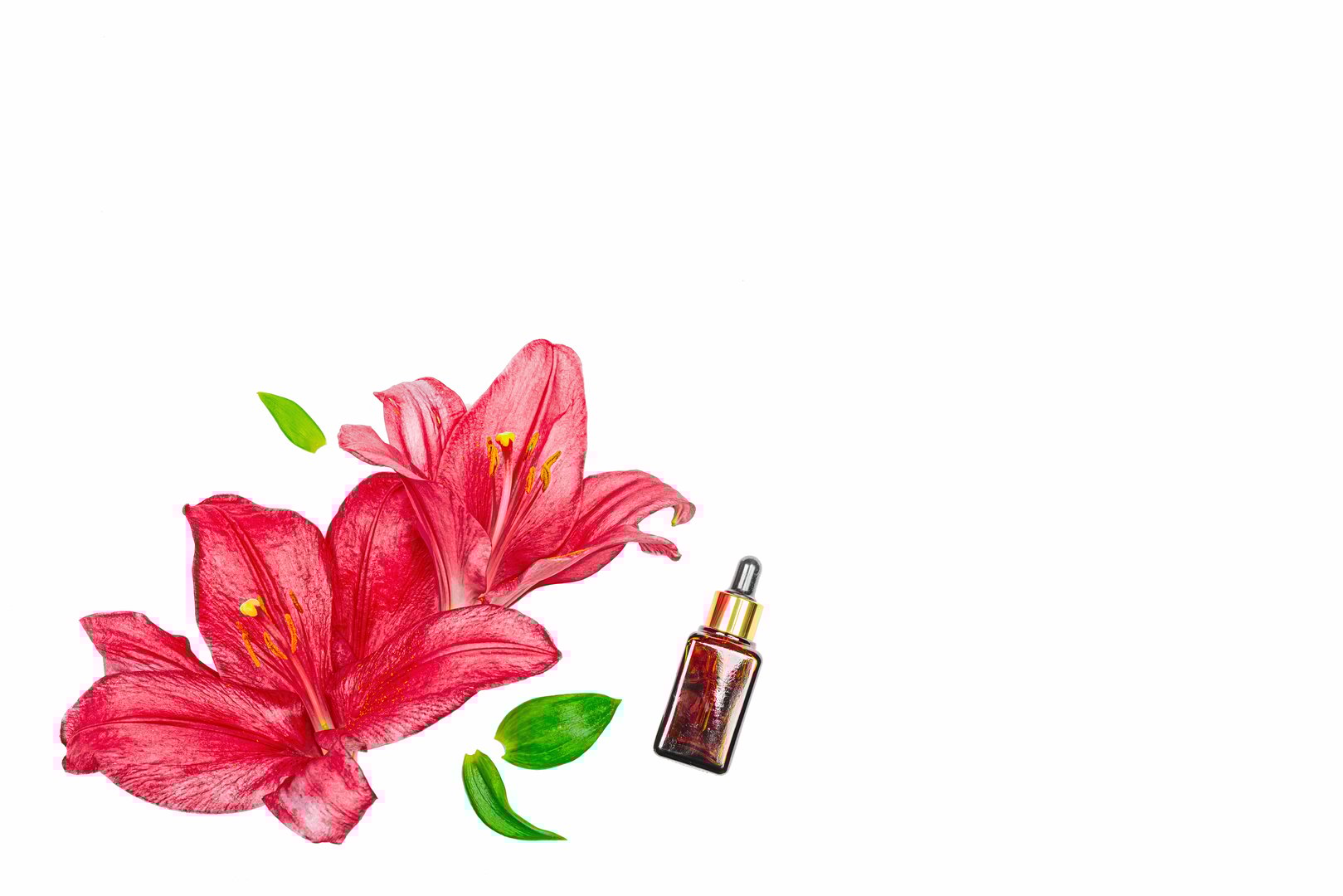 Amber glass dropper bottle with red lily flower petals on white background, minimal natural skincare concept. Beauty routine, flat lay, top view