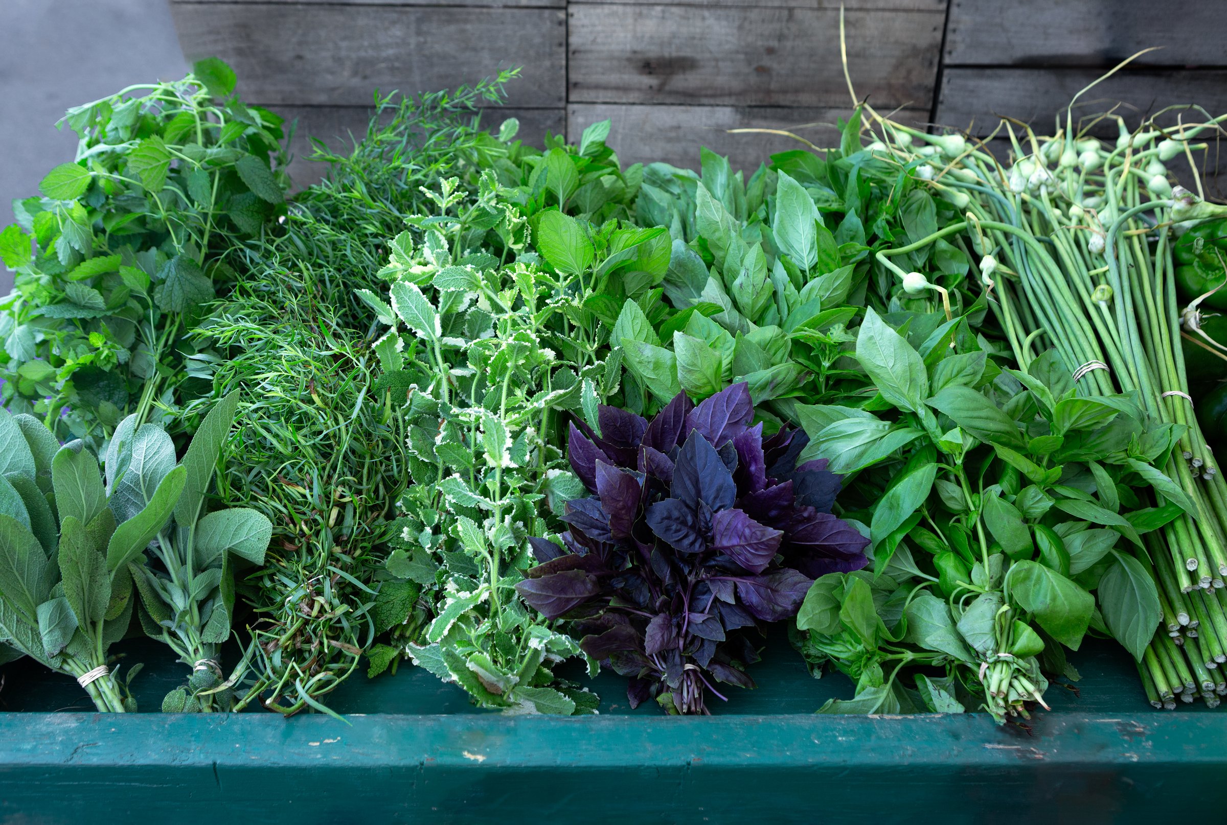 Fresh cut herbs to include basil, chives, sage, tarragon, and lemon balm at a local outdoor market