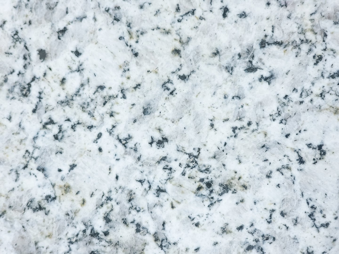 Textured surface of white granite with black, gray, and subtle golden and beige tones. The texture is uniformly speckled, typical of this natural stone.