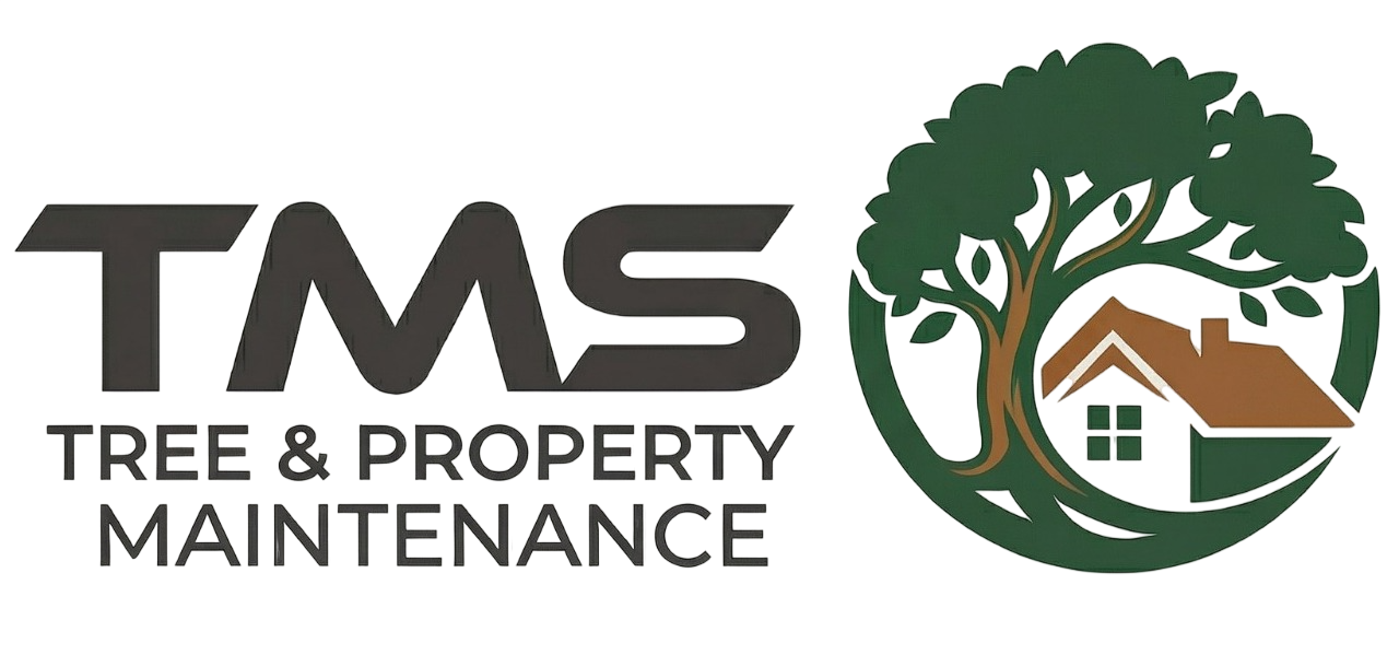 TMS Tree & Property Maintenance