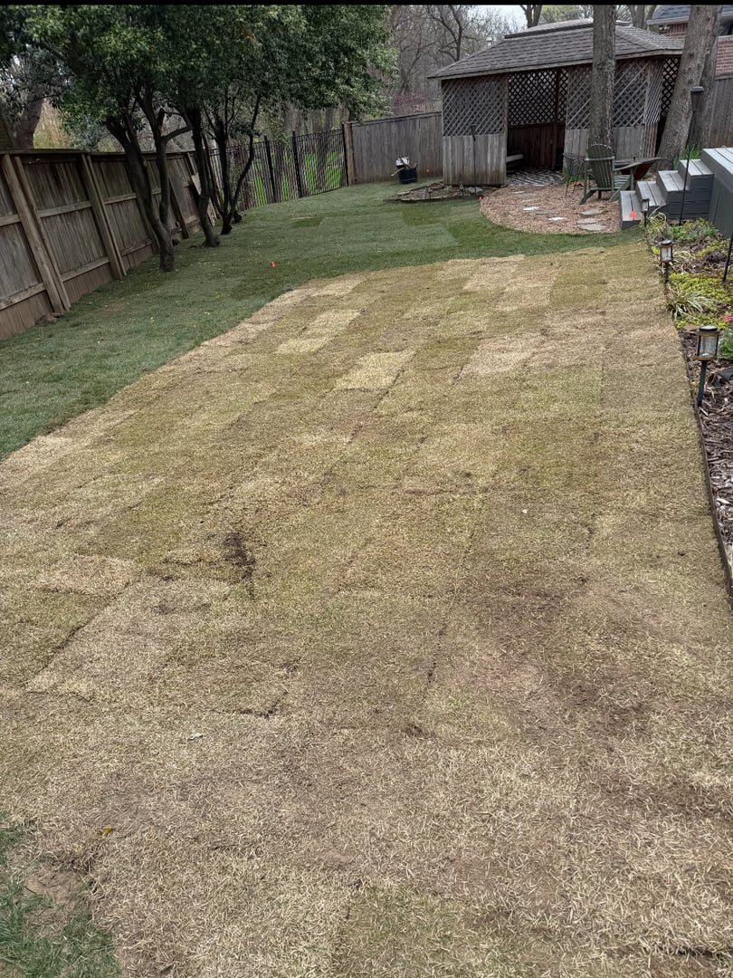 Sod installation service