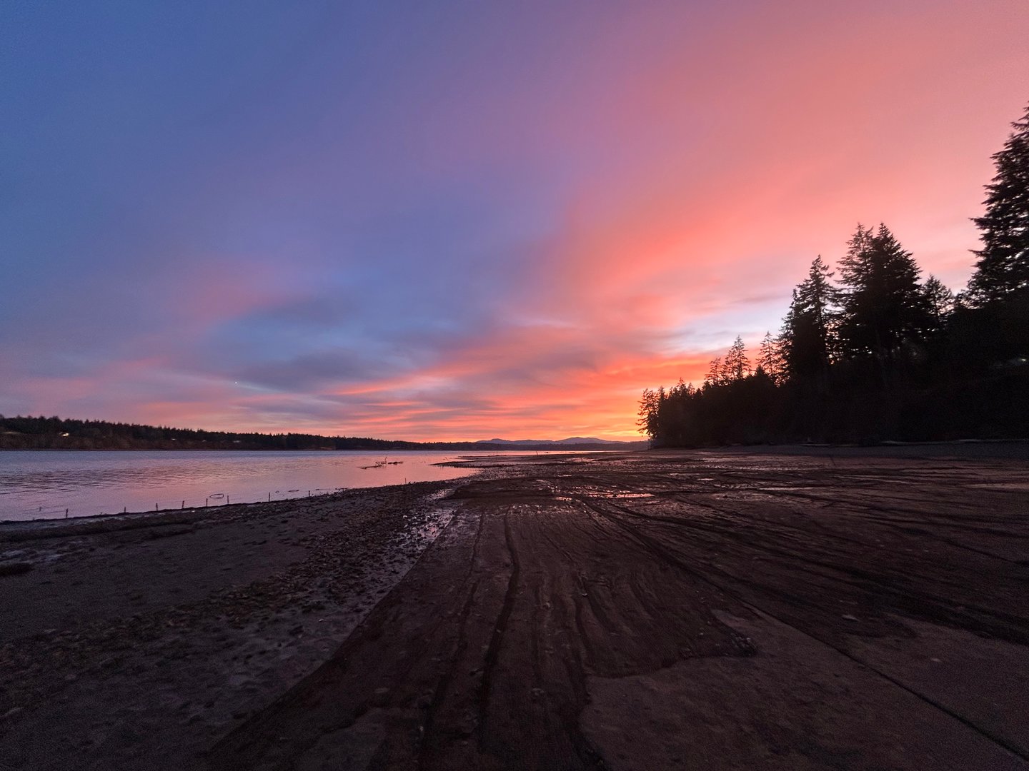 Little Skookum Shellfish harvest