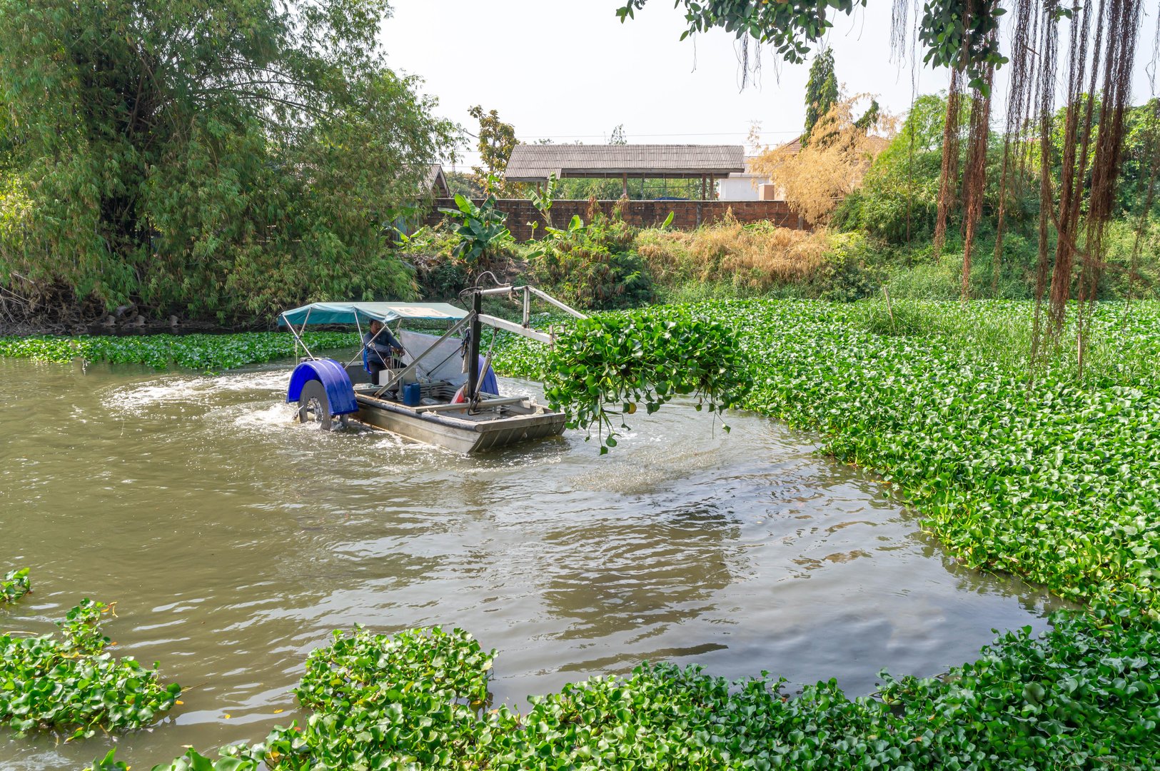 Water hyacinth removal boat operating in a canal in Thailand, using a mechanical arm to extract aquatic plants, helping to prevent water pollution and maintain a clean,Thailand on March 2025