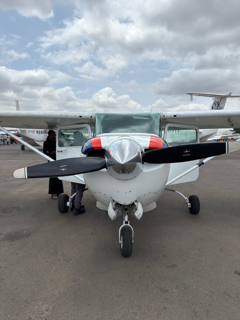 Custom Cessna 172 RG image