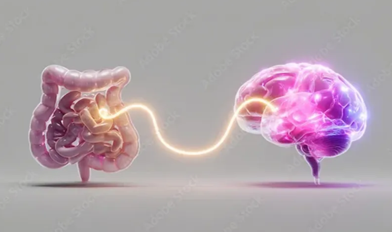 Gut brain connection illustration
