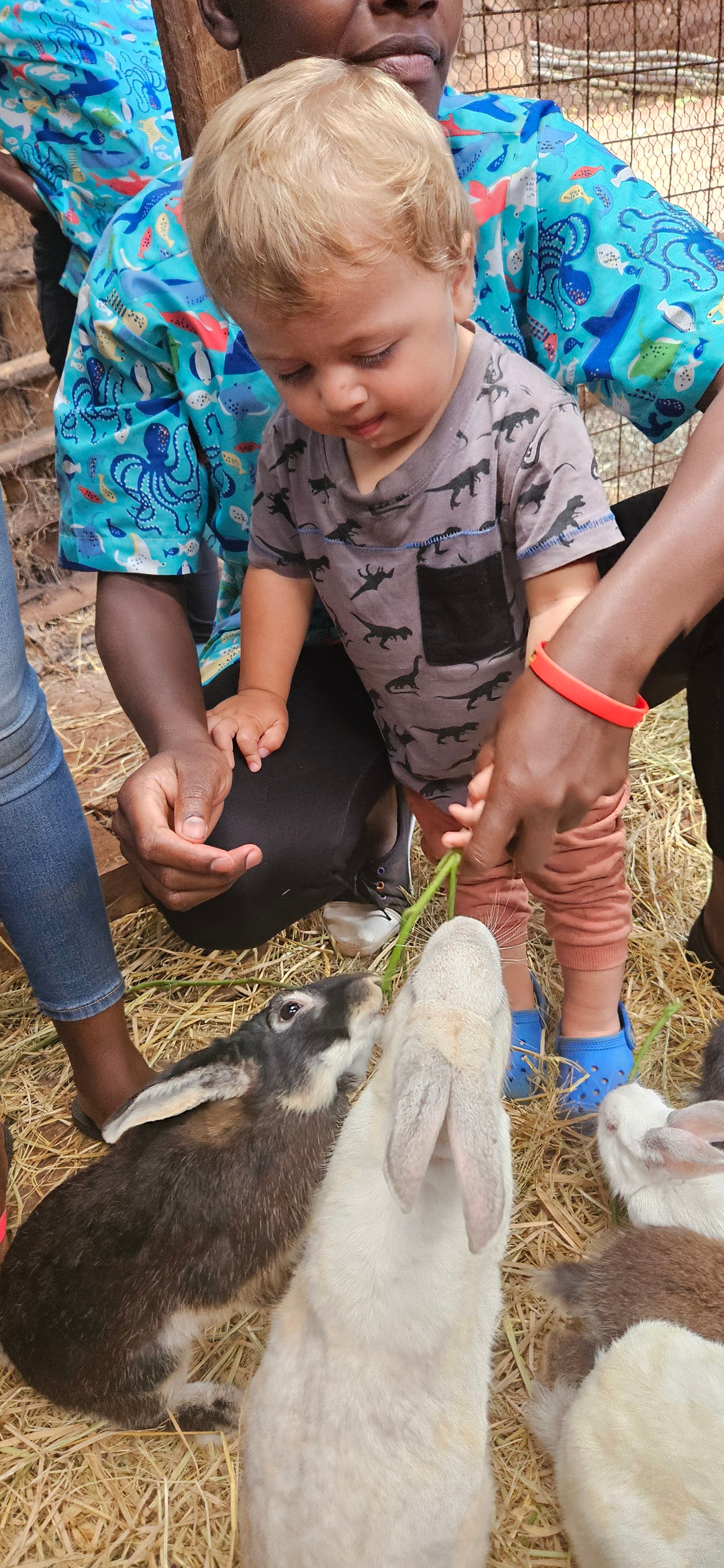 Children learning through play