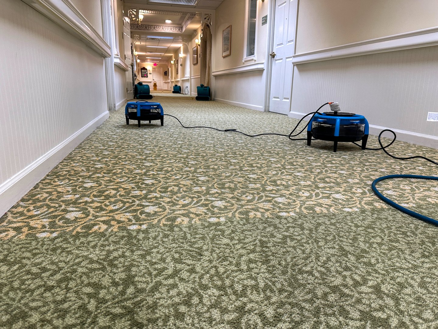 Some air movers drying out the carpet after cleaning