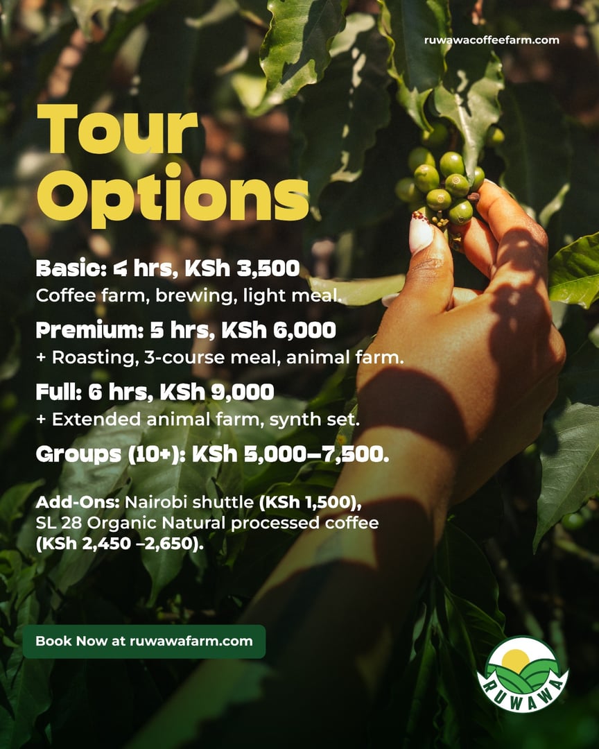 Guided farm walk through coffee plantation