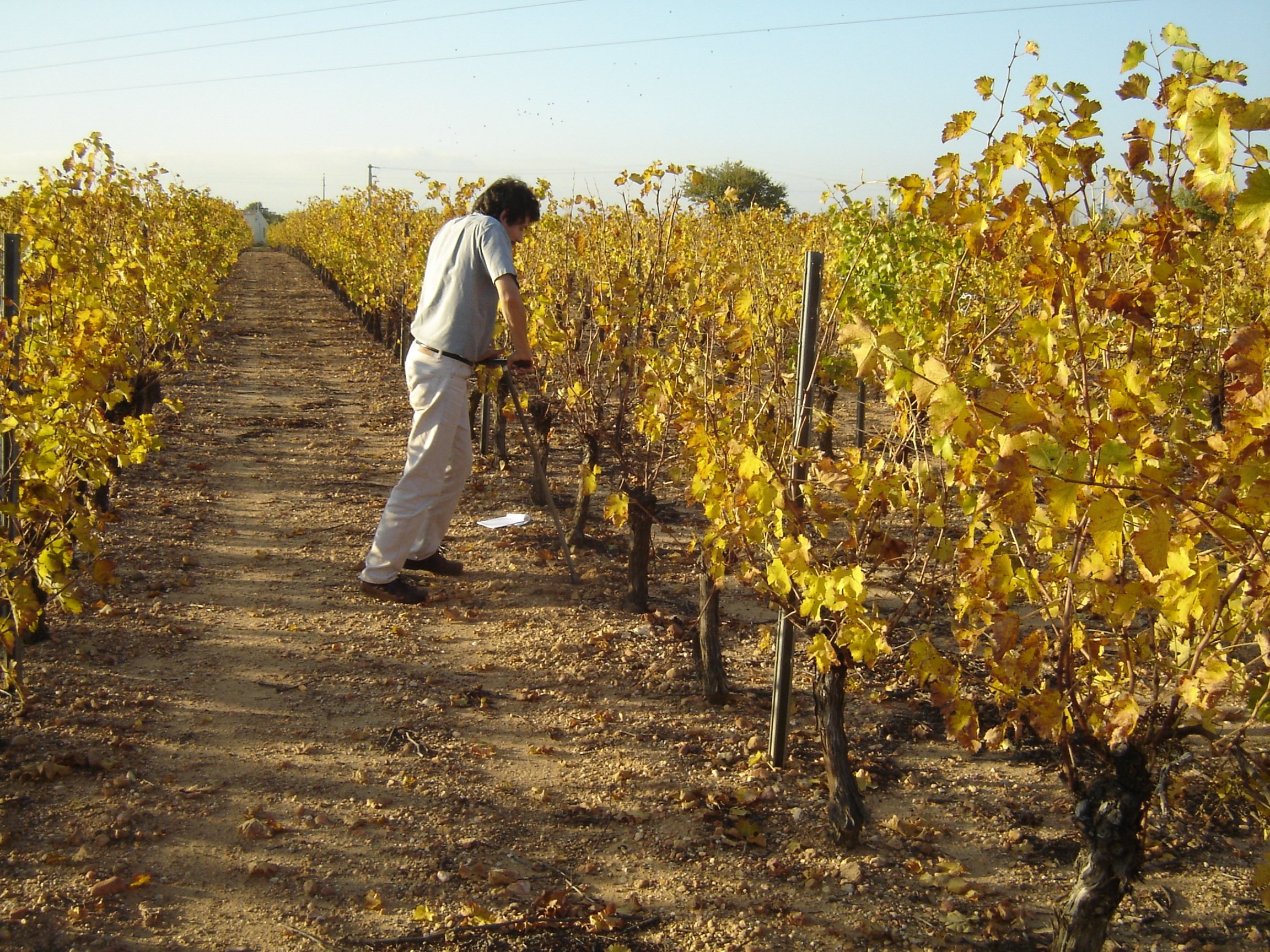 Bruno RIVIER - Expert Foncier