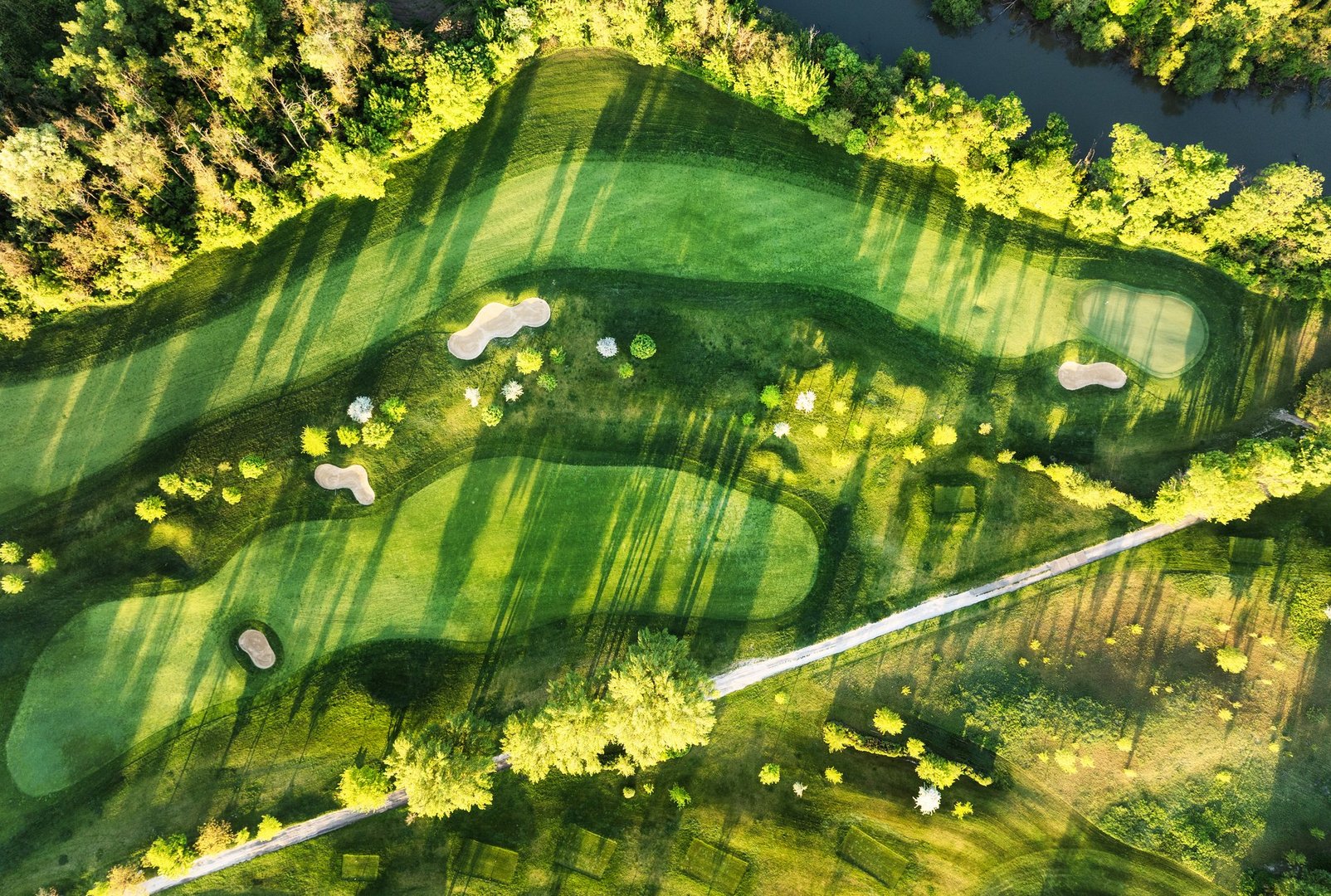 Aerial view of green grass and trees on a golf field