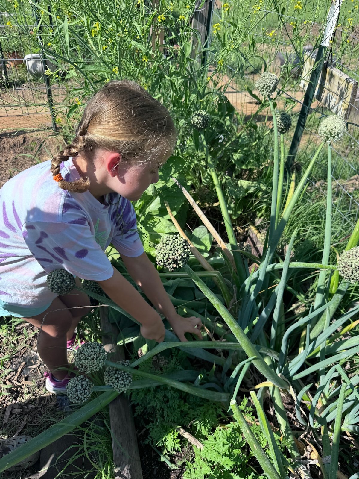 Working with the Earth - Gardening