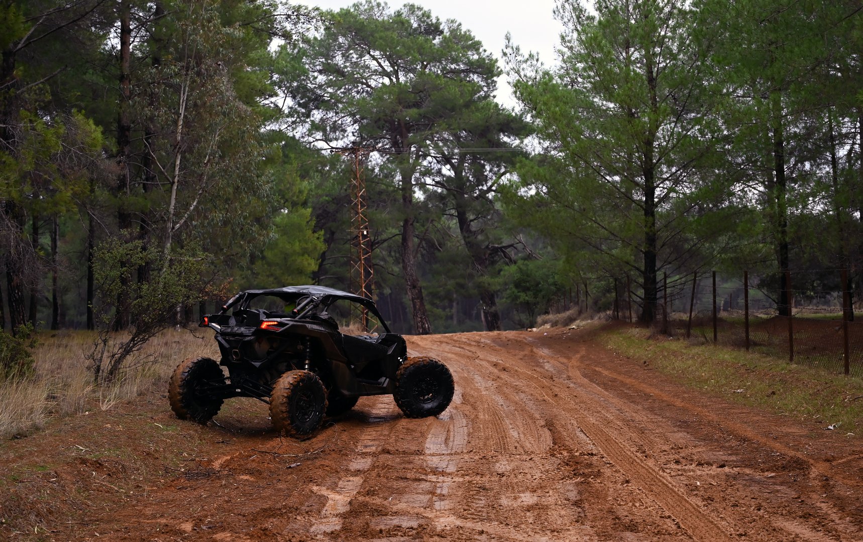 Offroad in the forest with UTV in the rain