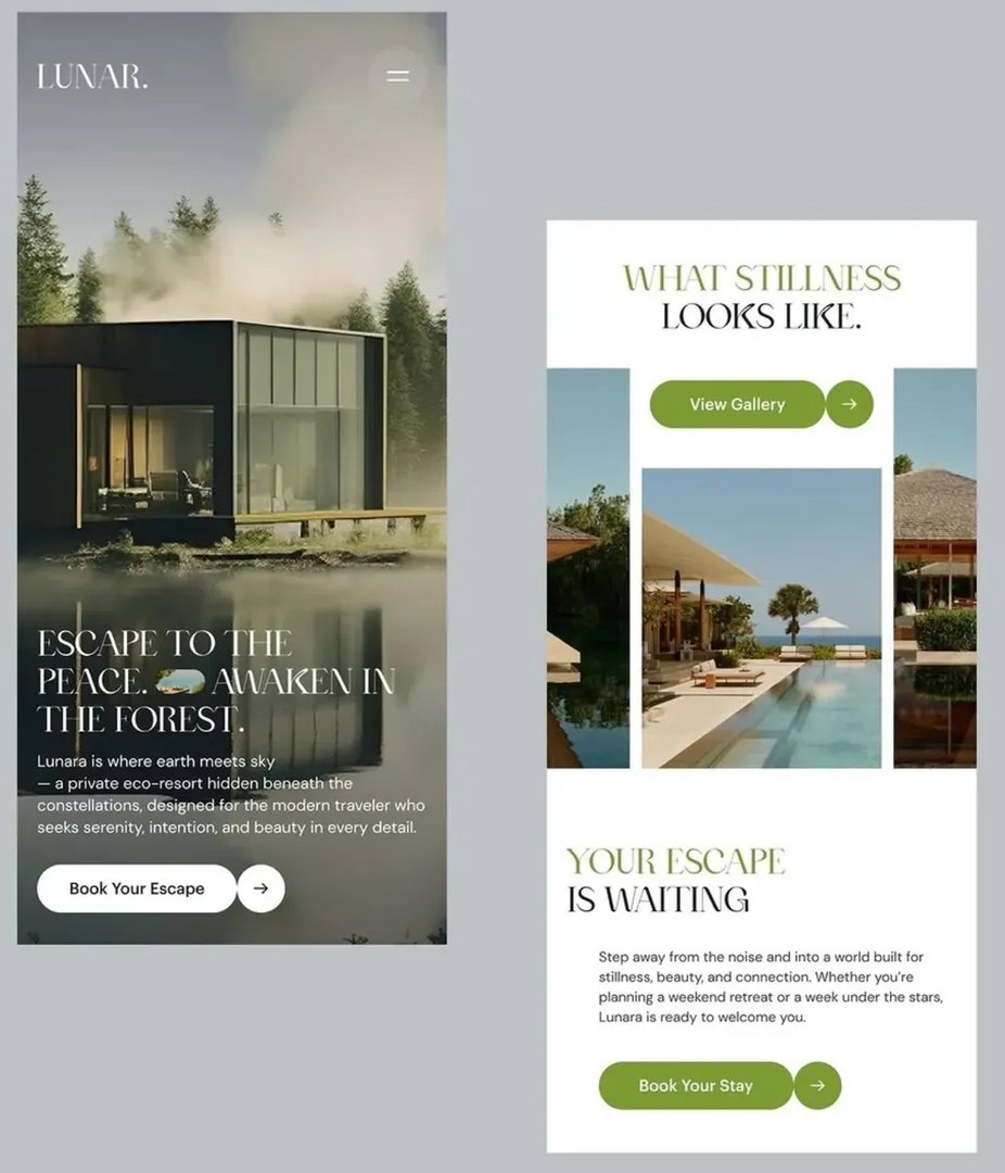 Website design showcase