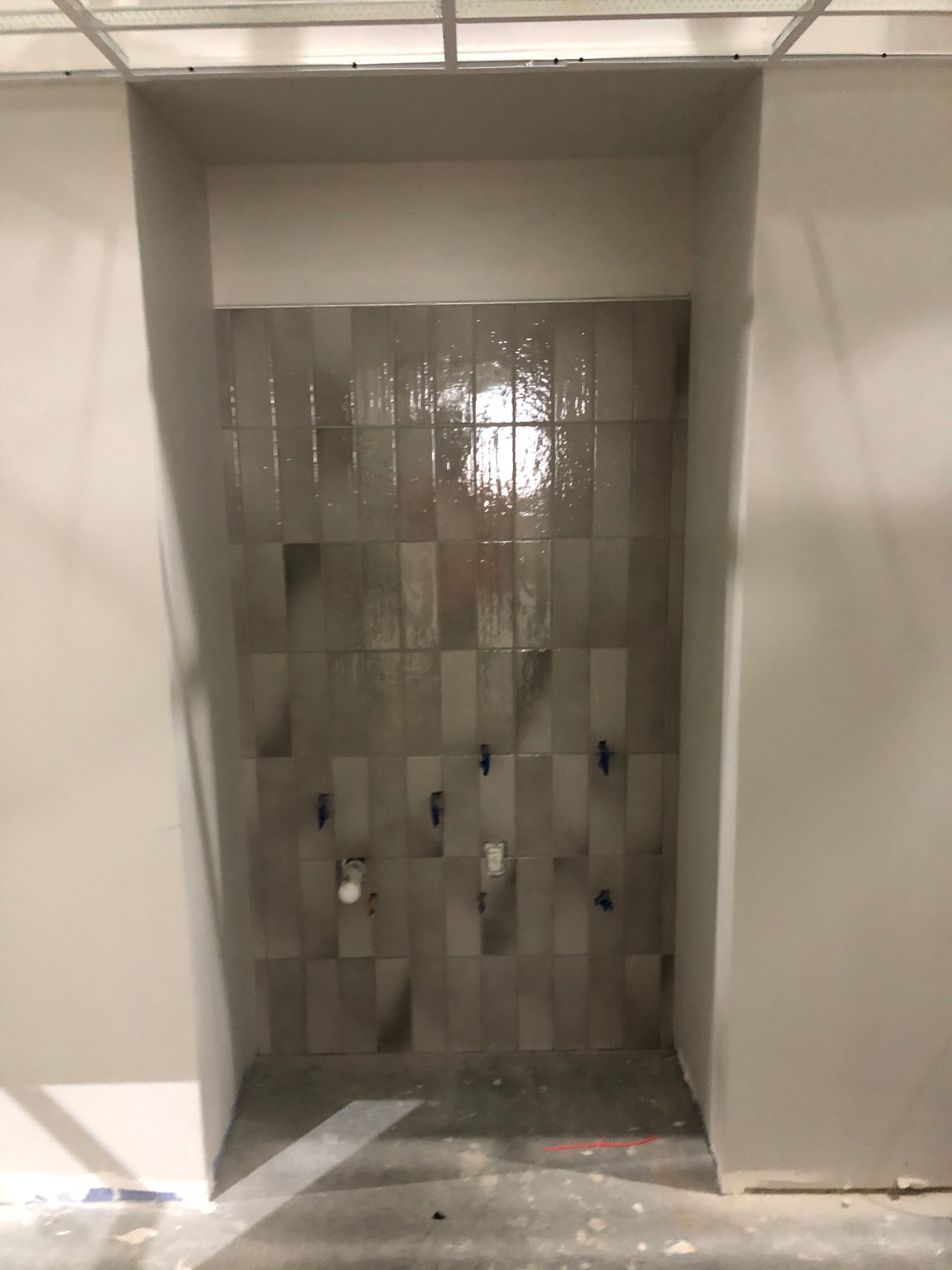 Wayne State University project showcase