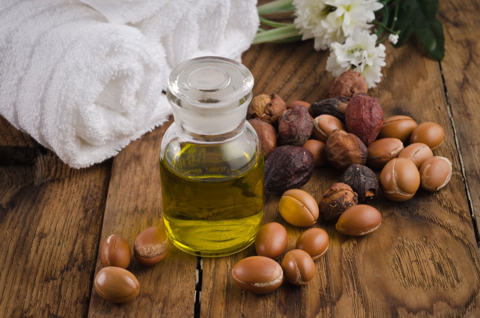 Still life of argan oil with fruit on a natural background. Argan fruits come from Morocco (Africa) and are used as component of many cosmetic products