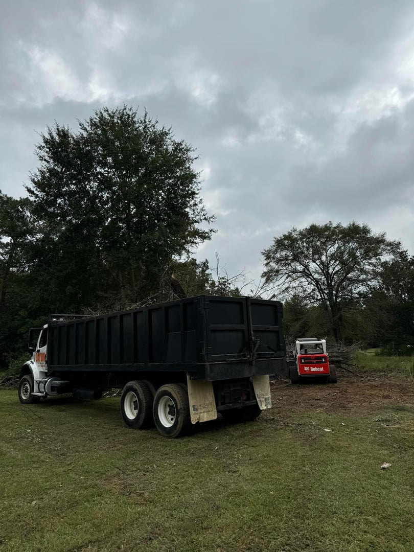 Tree removal service