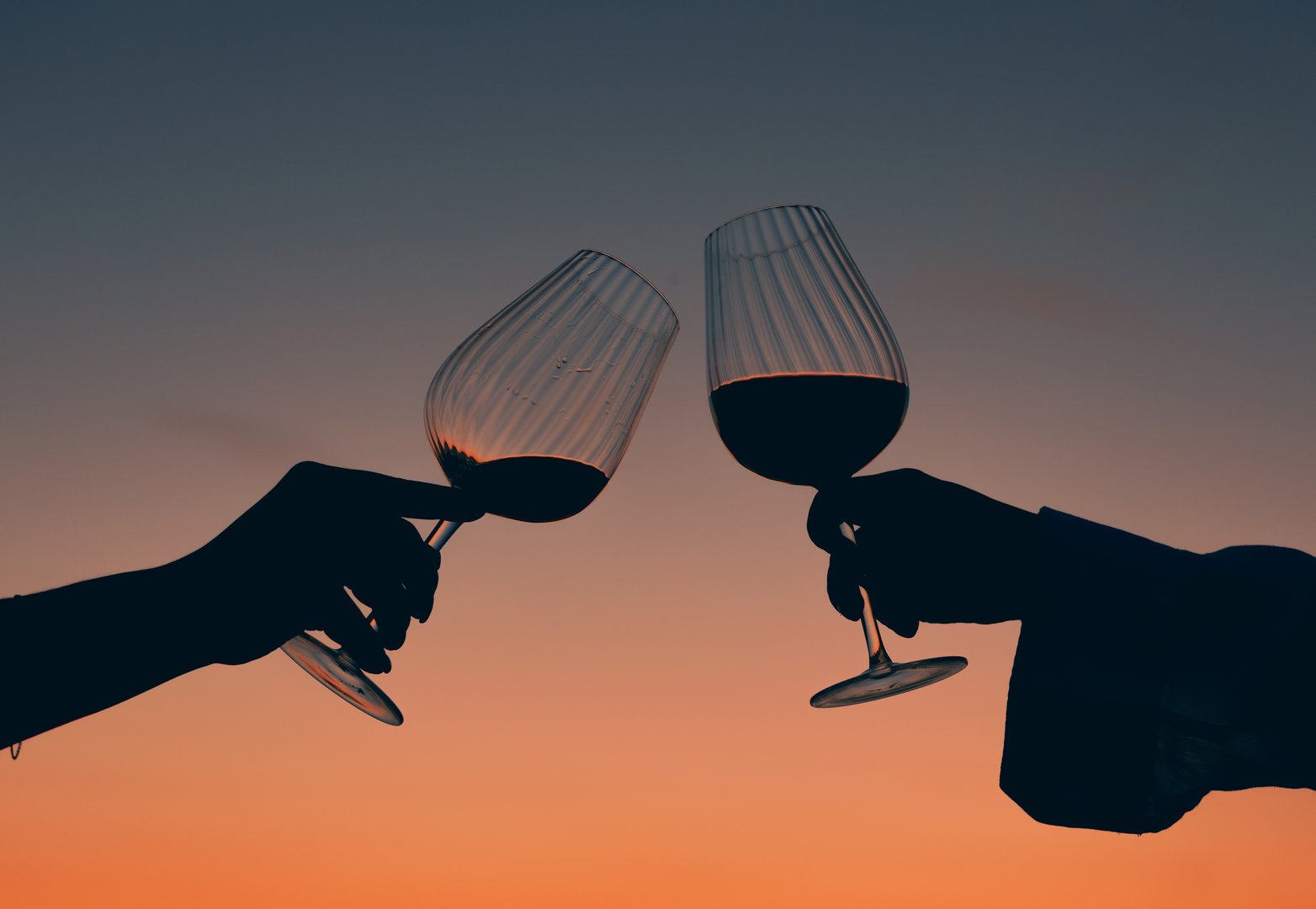 hands with glasses of wine against sunset. LGBT couple