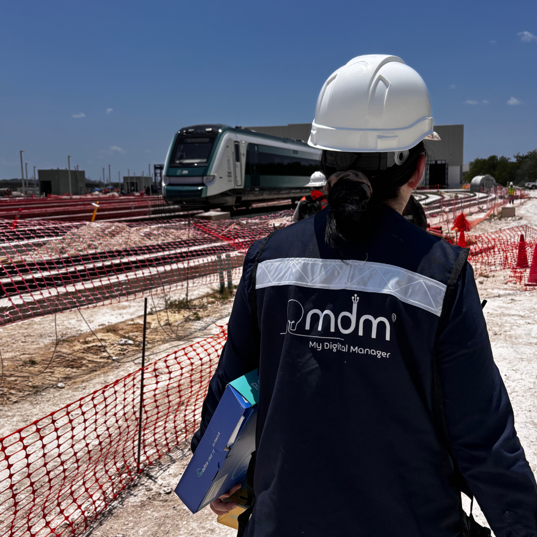 Proyectos empresariales de TI - My Digital Manager