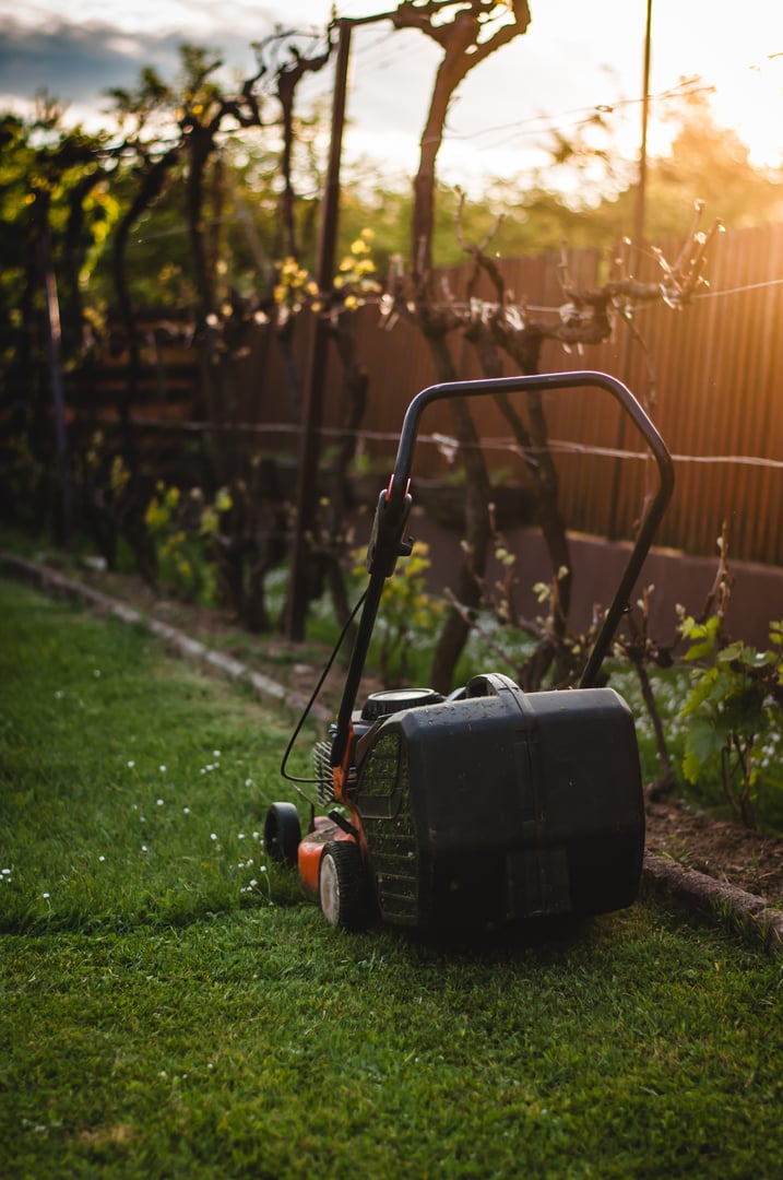 Mowing the grass
