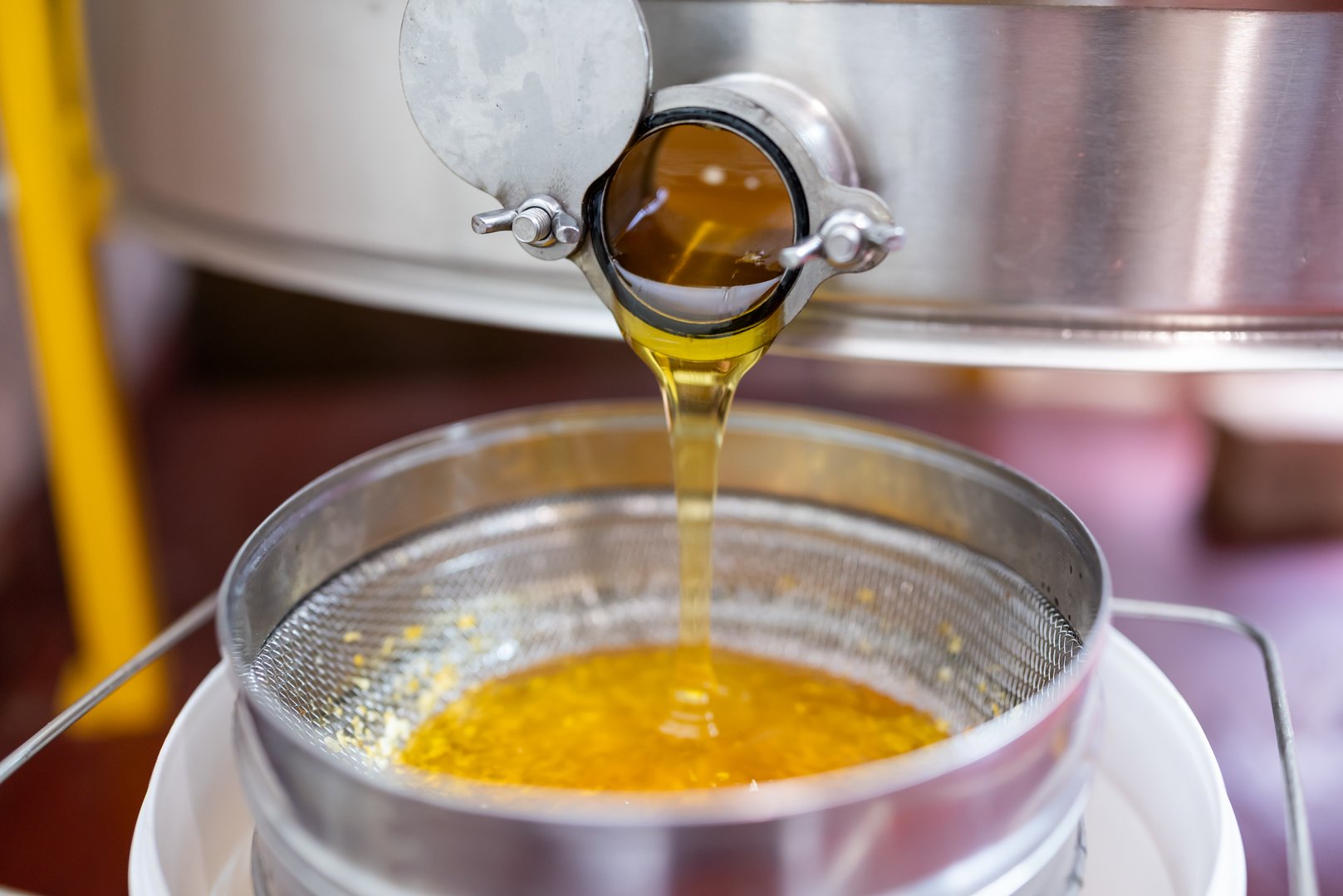 Collected honey drips from stainless honey extractor tap into bucket with sieve filter, honey harvest