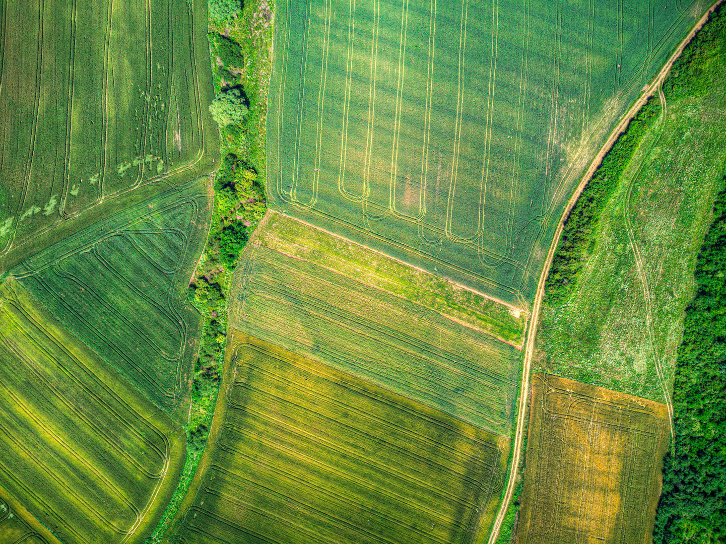 Aerial Agriculture: Uncovering Patterns from Above.