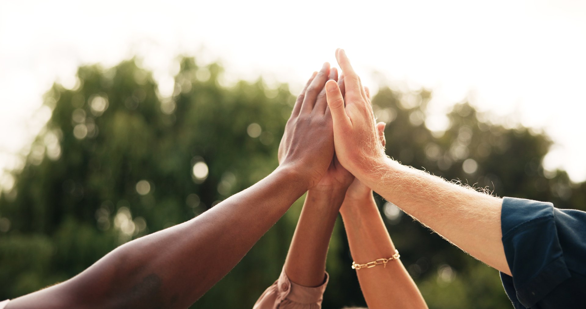 People, hands and high five with team in unity for collaboration, mission or solidarity in nature. Group, huddle and circle with motivation or inclusion for support, trust or community together