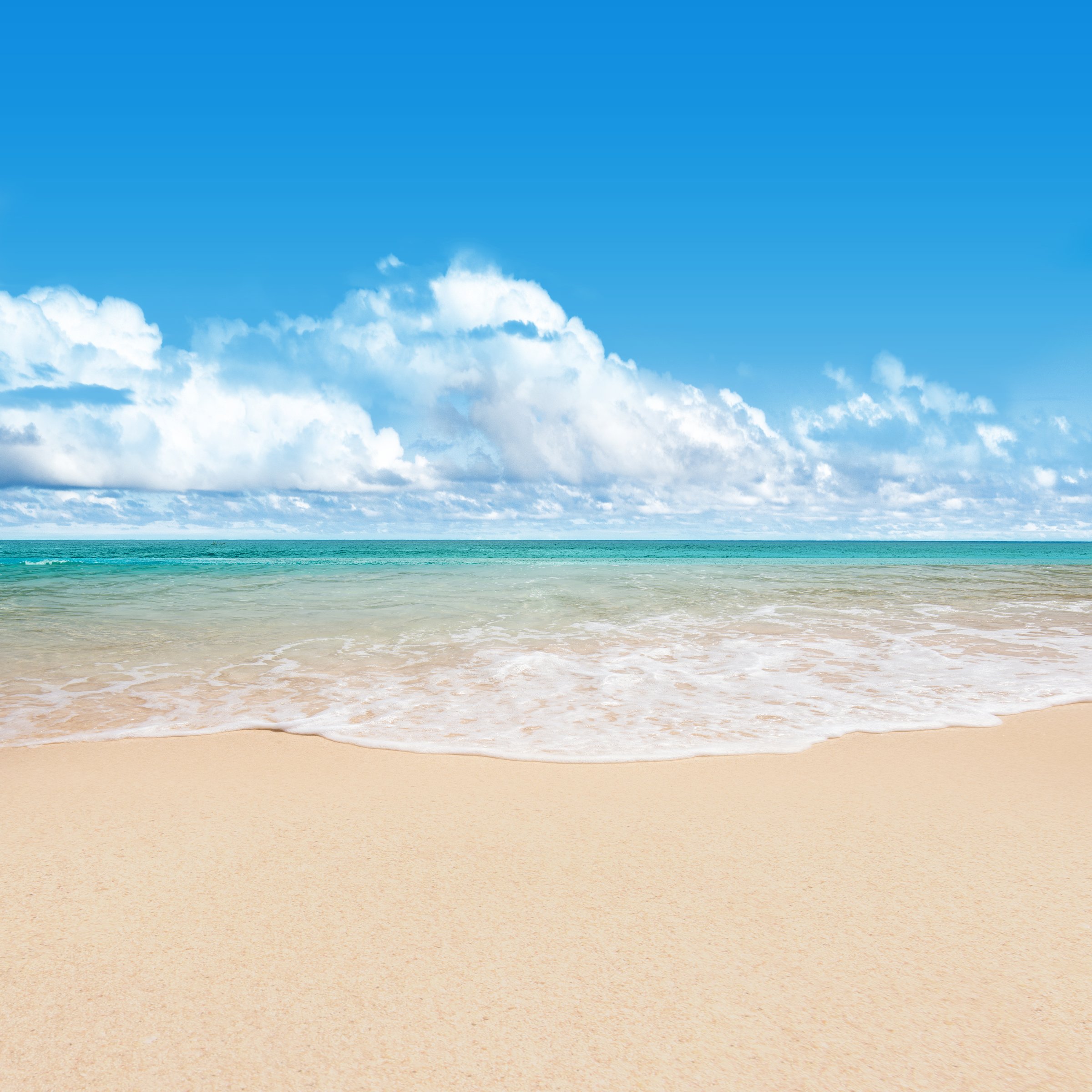 Beautiful sandy beach with an ocean view