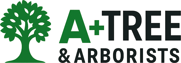 A+ Tree & Arborists