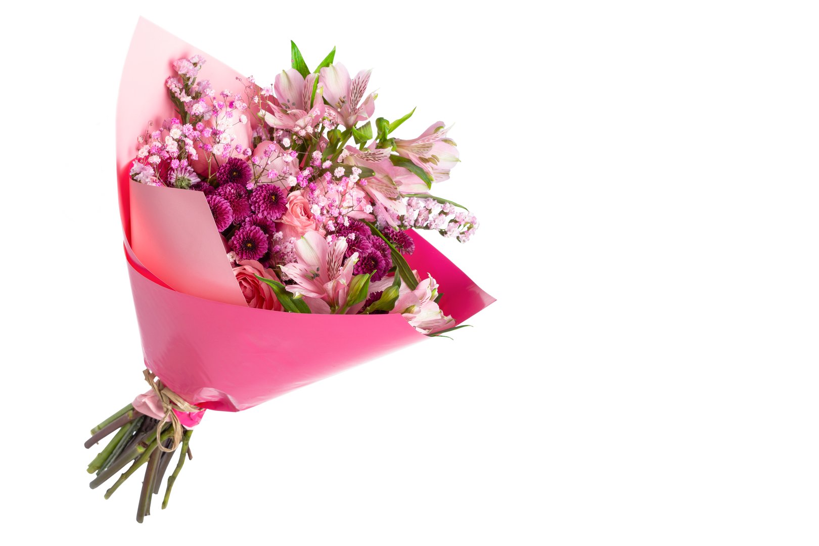 Bouquet of various flowers wrapped in pink paper isolated on white background, floral arrangement for various occasions, close up view, copy space