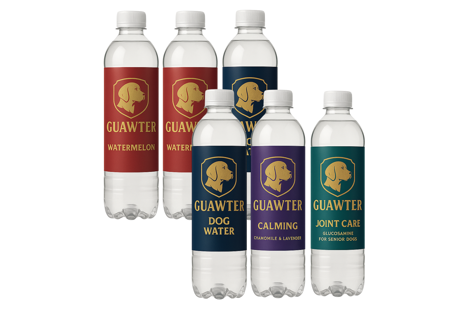 Multipack Guawter - Pack de 6 Botellas