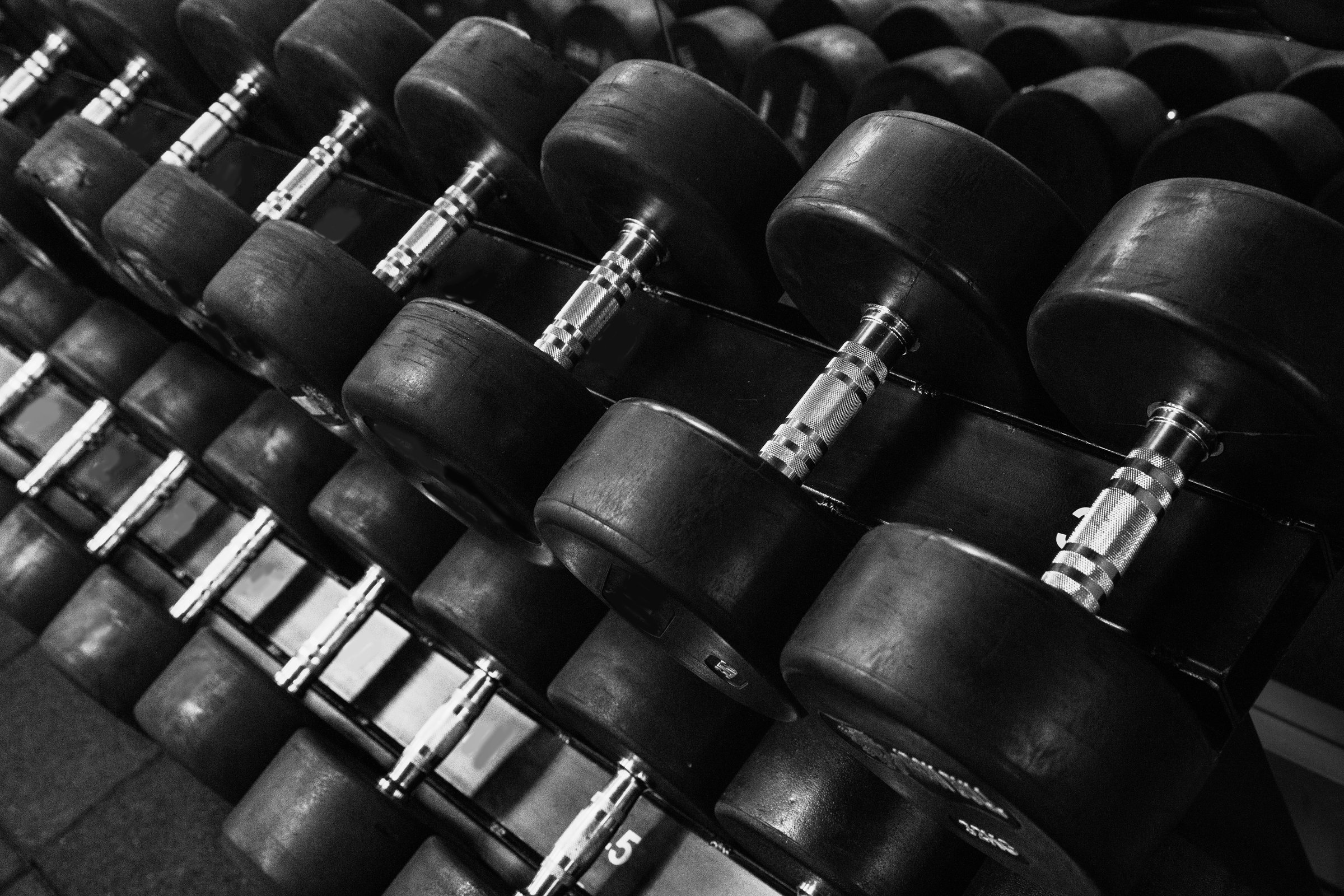 dumbbells of different sizes in a fitness center on stand
