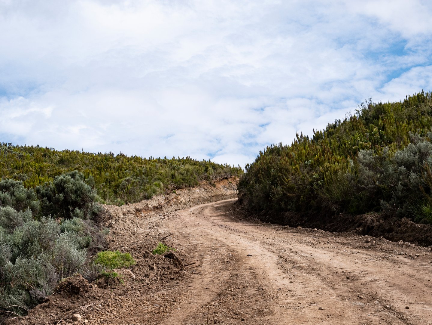 Mount Kenya road to Lake Ellis scenic landscape