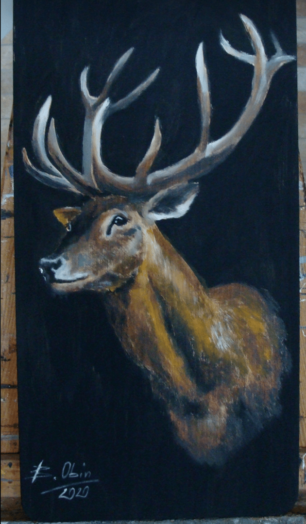Jeleń 2