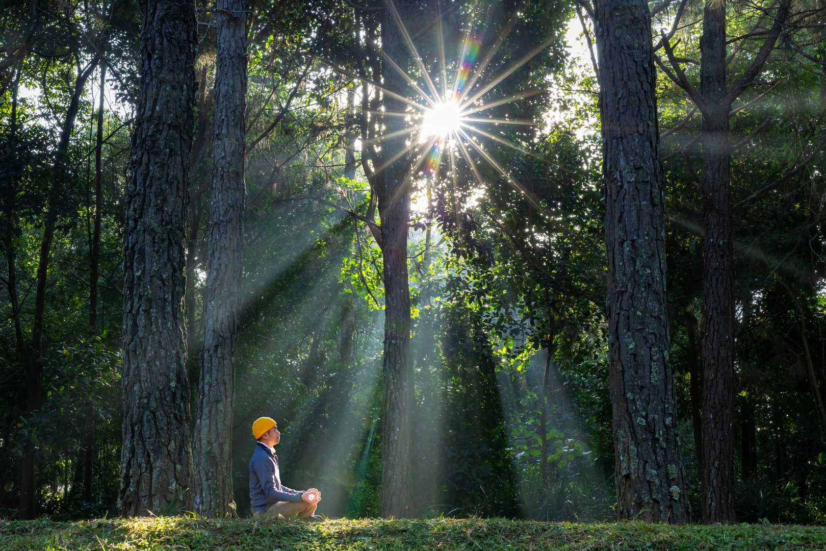 Man relaxingly practicing meditation in the pine forest to attain happiness from inner peace wisdom with beam of sun light for healthy mind and soul for healthy manifestation
