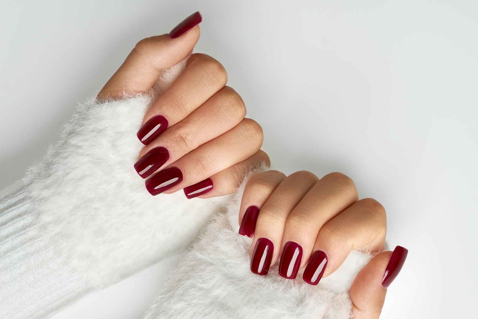Close up woman`s hands with burgundy manicure on white background