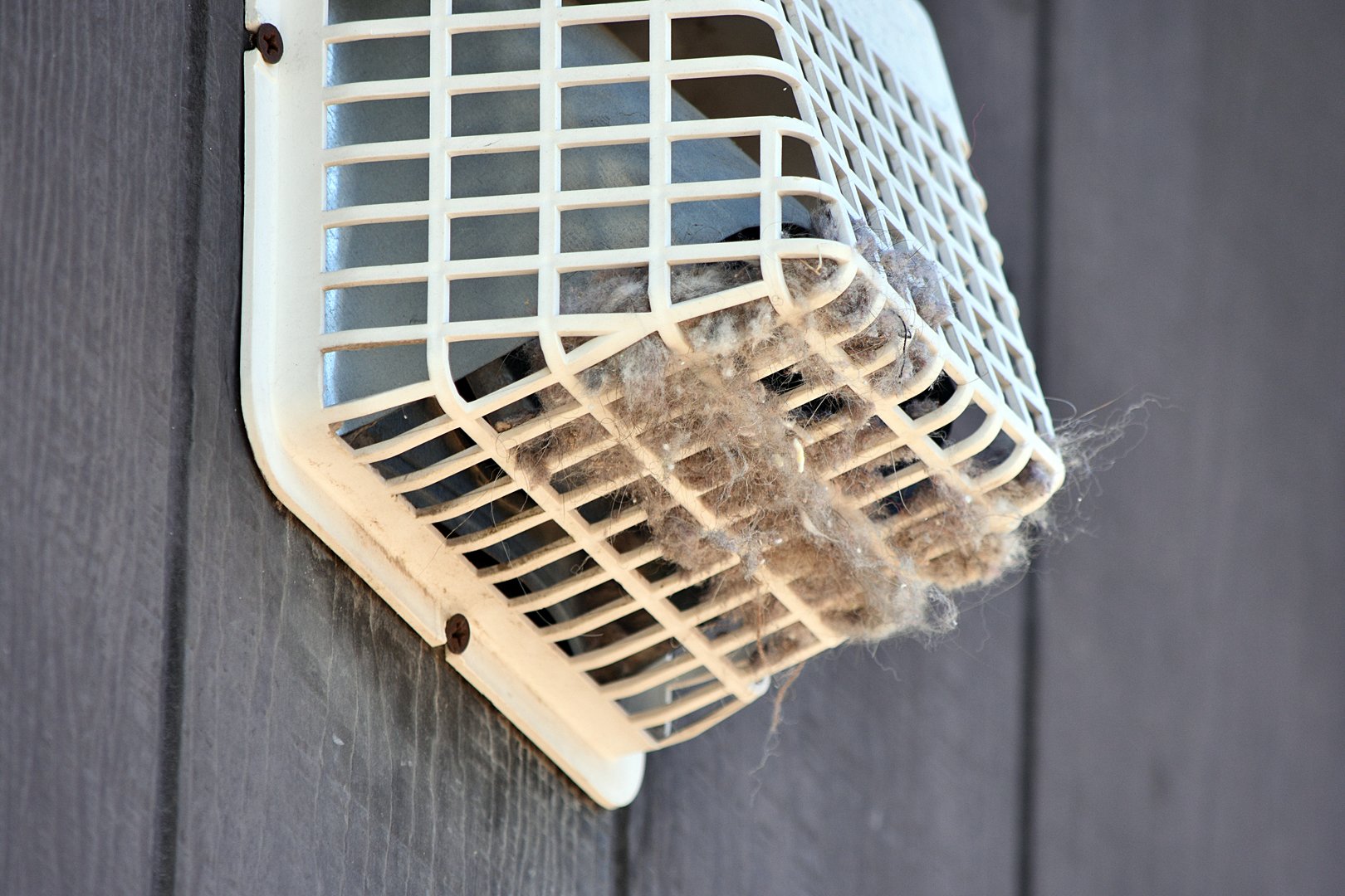 An outside dryer vent shown with considerable lint and debris which could cause a fire.