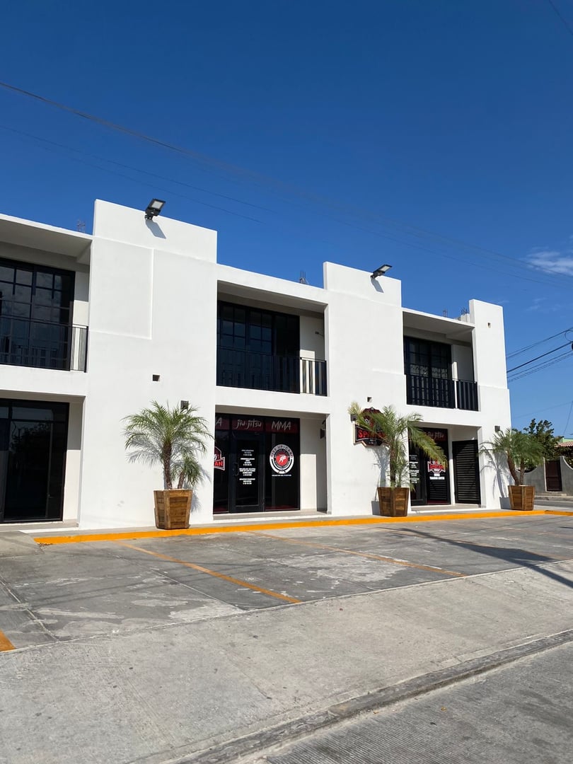 Modern white building with large windows, palm trees, and parking spaces, set against a clear blue sky.