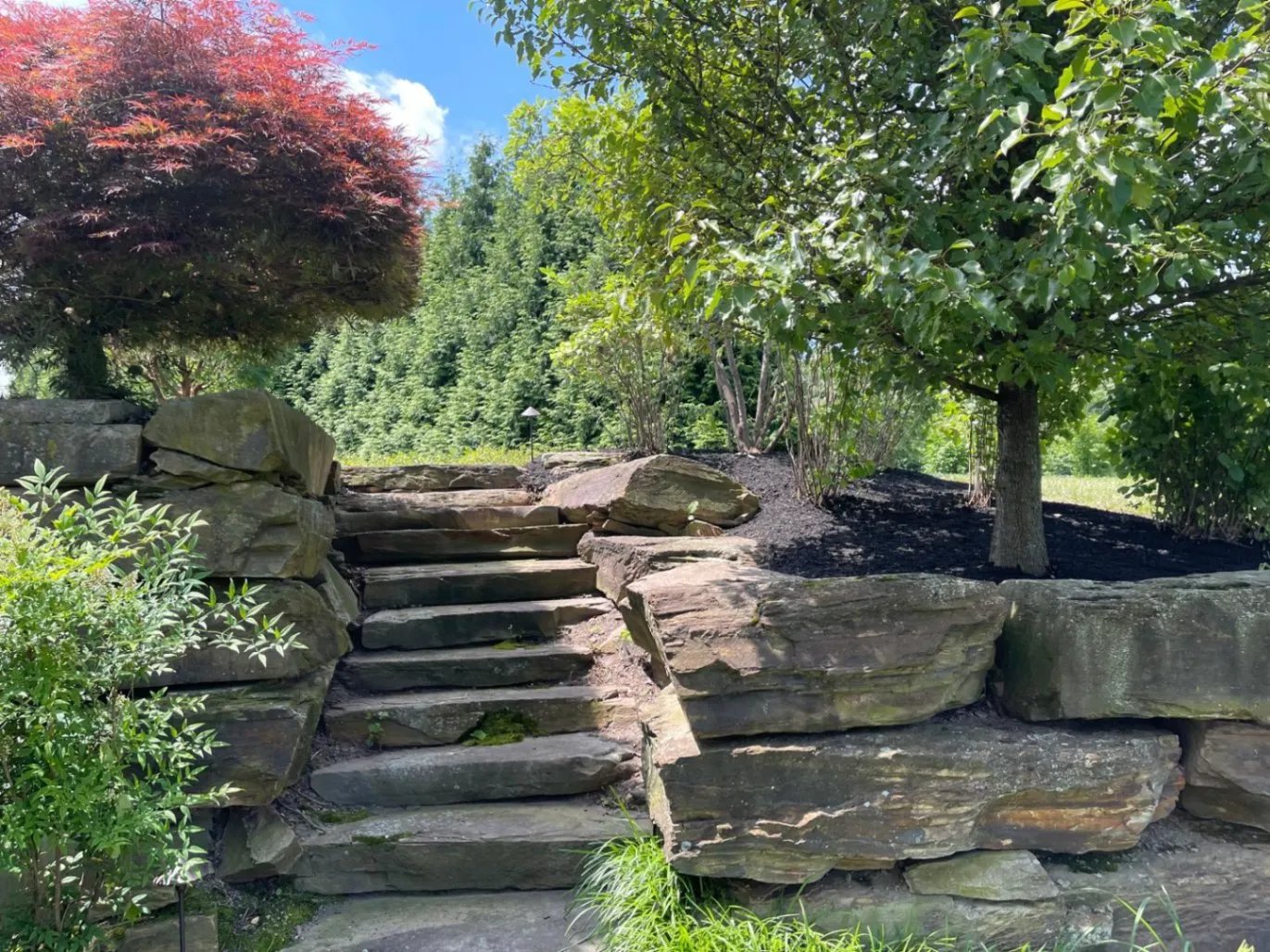 Angels Lawn Service project