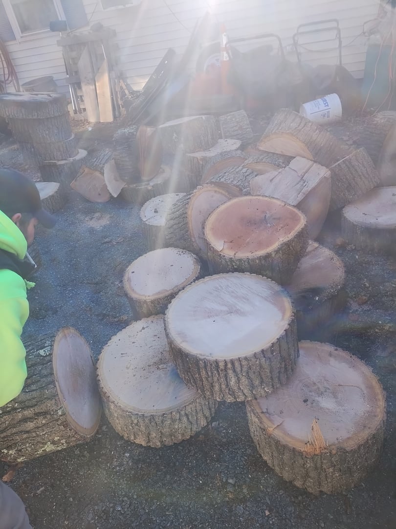 Complete tree care service