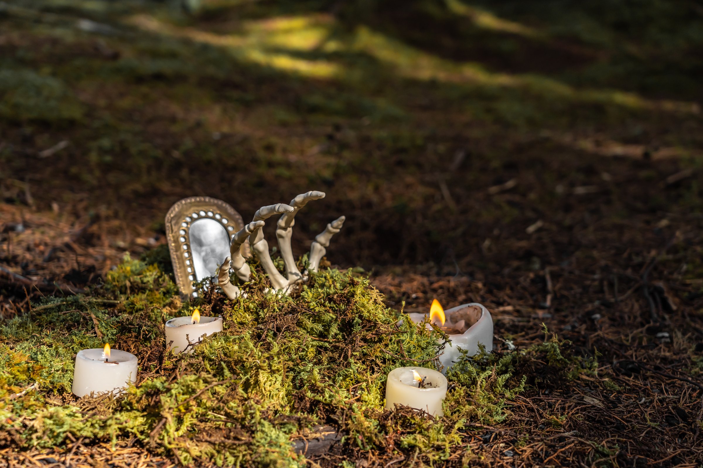 Halloween atmosphere and magical rituals in the middle of the forest.
