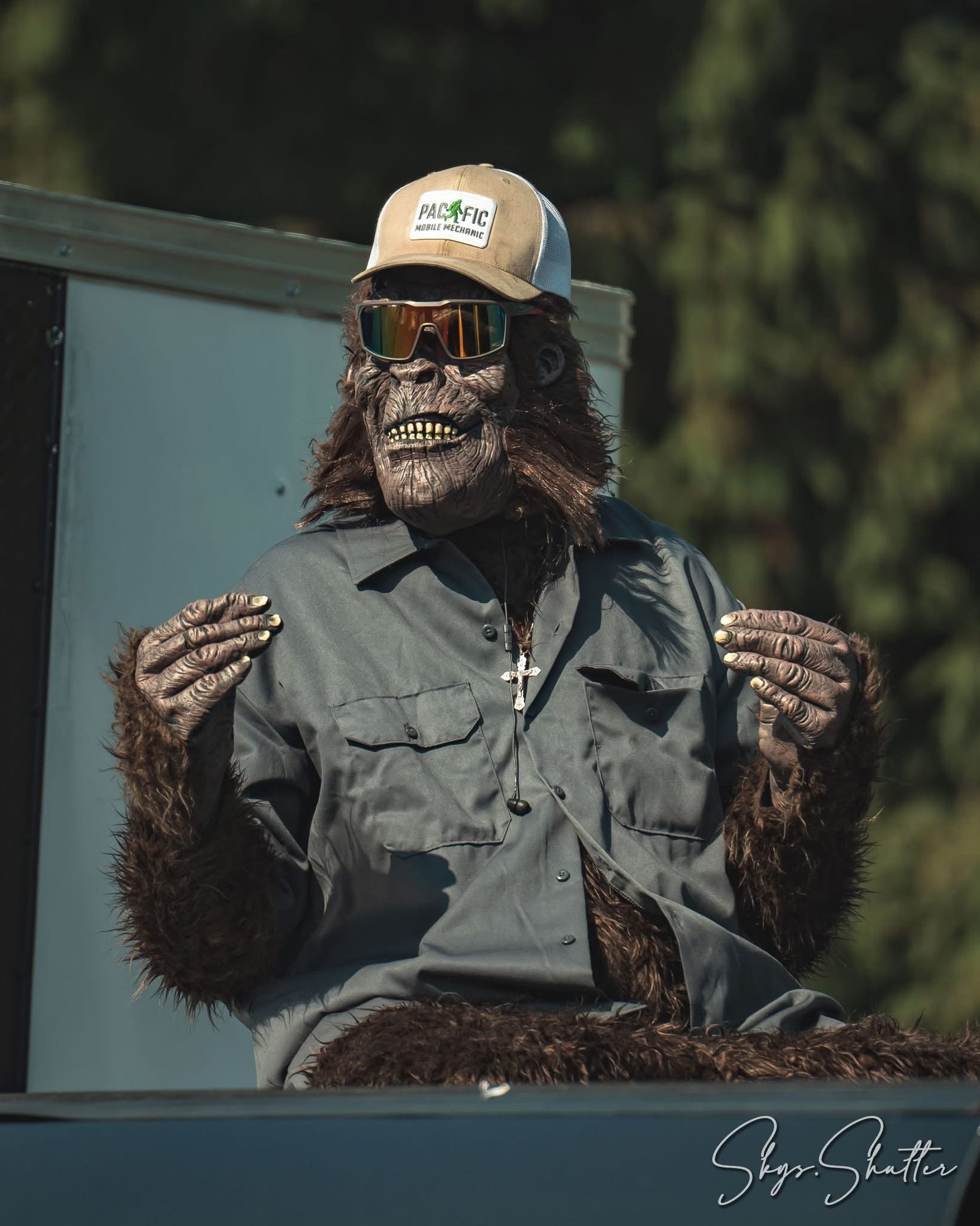 Pacific Mobile Mechanic engine repair service