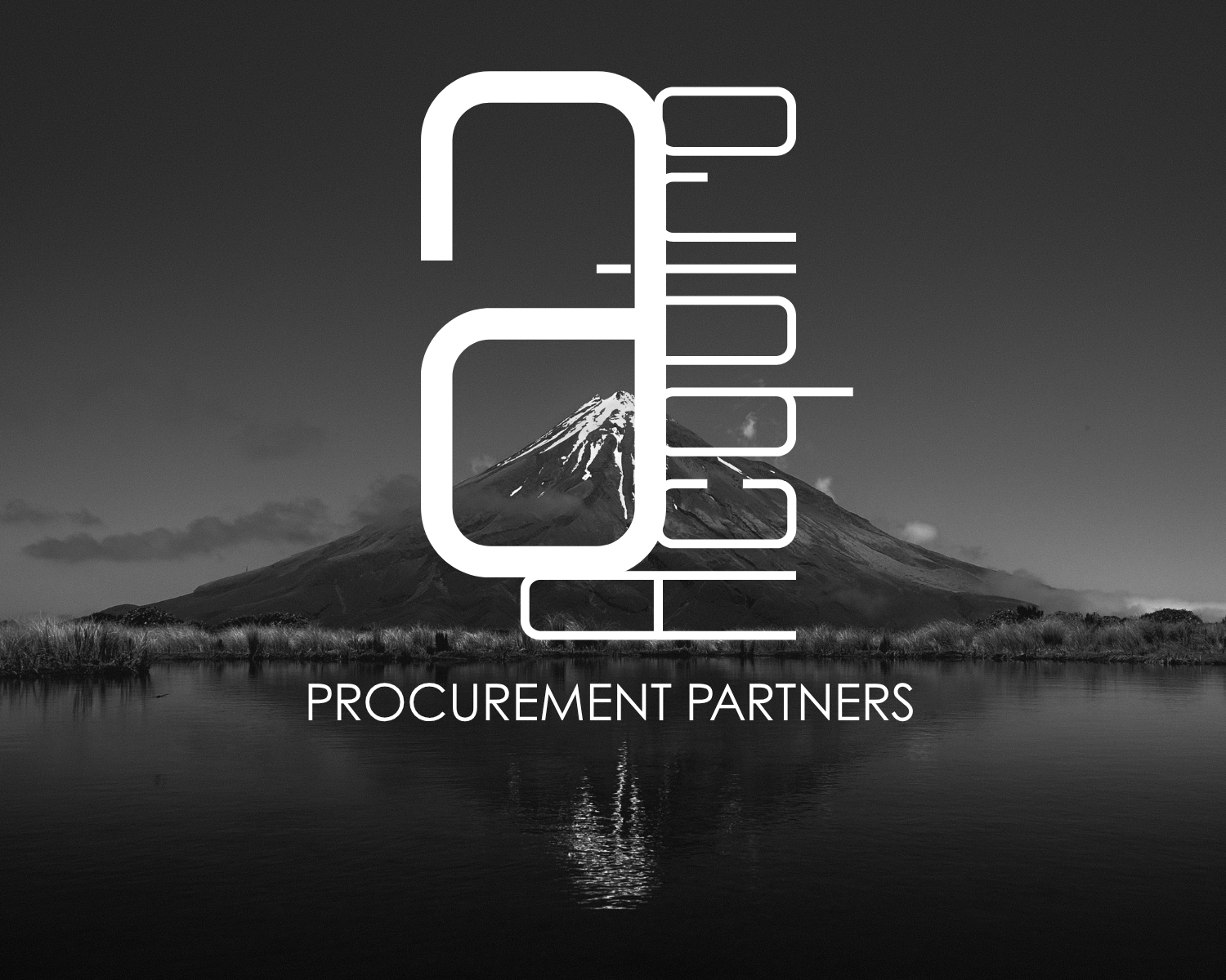 Acquiro Procurement Partners