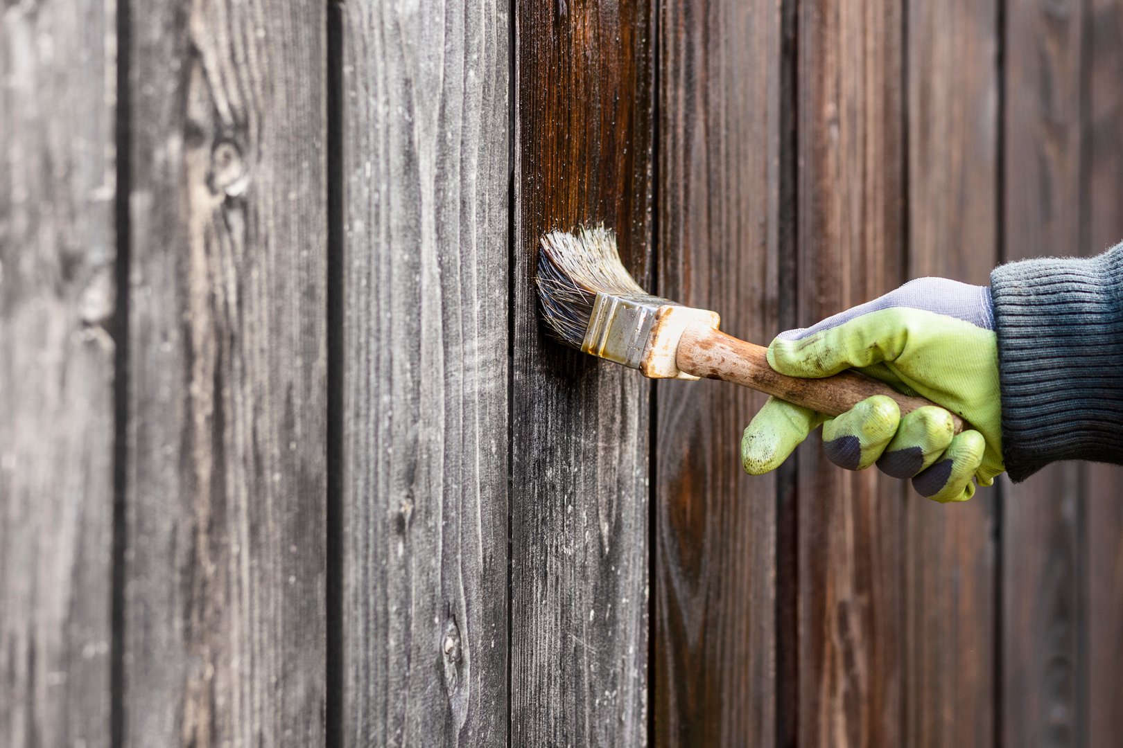 Painting Wood Fence with Paint Brush. Renewal and Renovation Old Wooden Fence. Copy Space.
