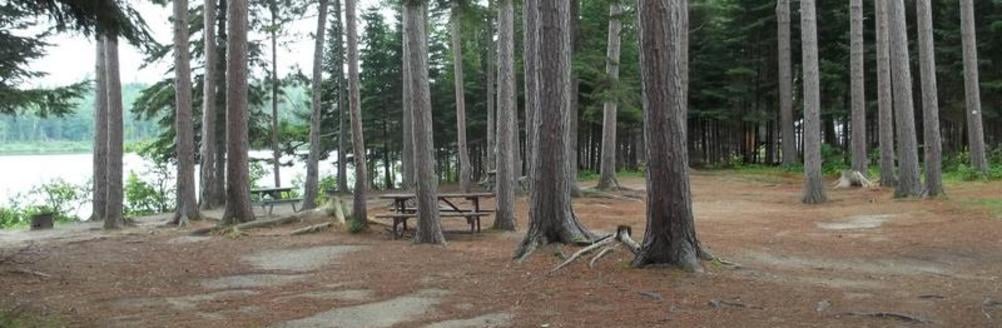 Campground background