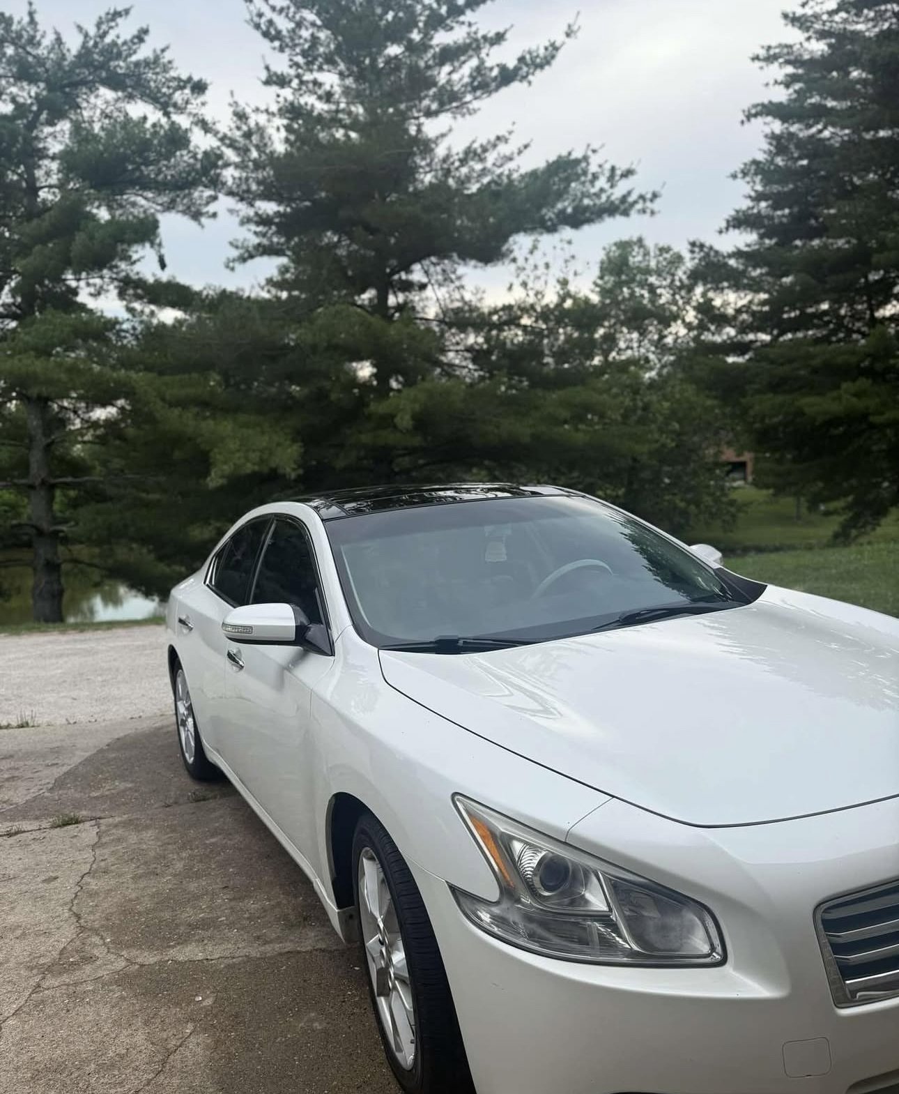 Auto detailing results