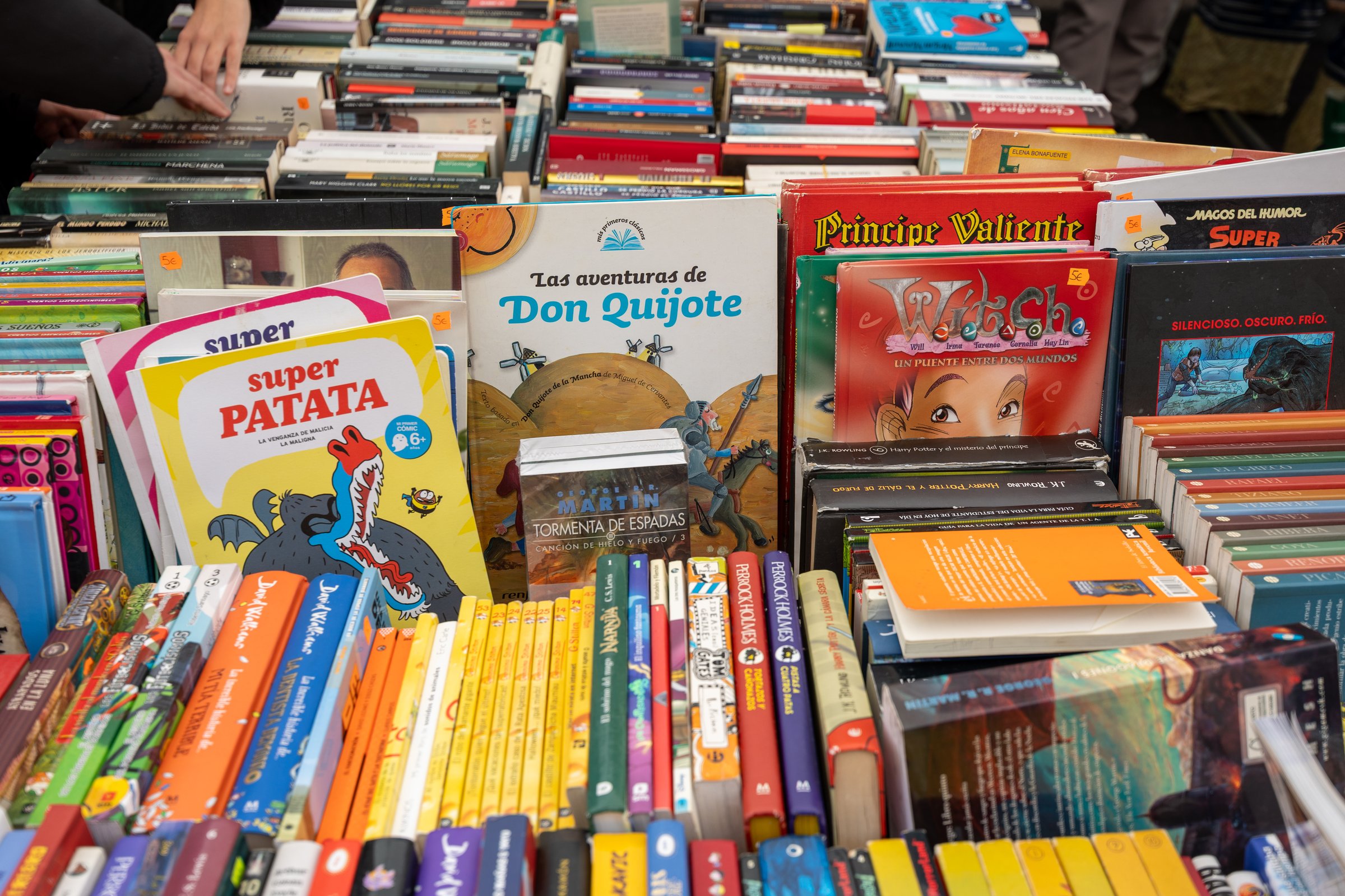 Bilingual books